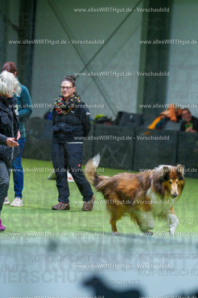 7R506272 | Professionelle Tierfotografie in Mönchengladbach von Daniel Wirth (allesWIRTHgut). Liebevolle & natürliche Bilder von Hunden & Katzen für unvergessliche Erinnerungen.