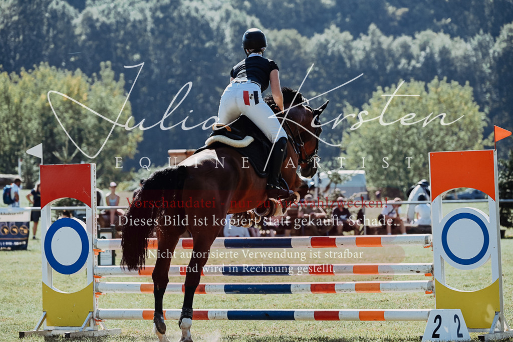 DSC_5807 | Pferde- und Turnierfotografie in Westsachsen. Pferdeportraits, Auftragszeichnungen und intuitive Kunst.