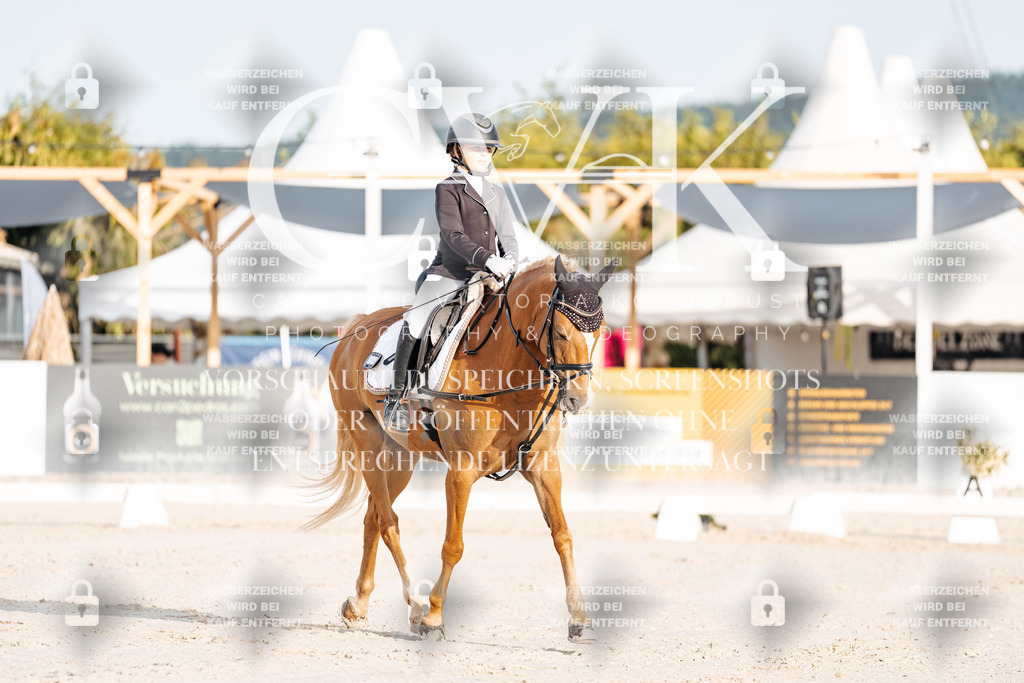 CK903615 | Turnierfotografie Pferdefotografie Trier Rheinland-Pfalz Pferdesport Reitsport Tierfotografie Sportfotografie Pferdevideo Pferdevideografie Equestrianvideography equestrianphotography  - Realisiert mit Pictrs.com