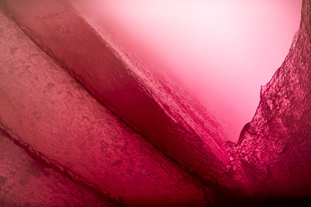 Zwiebel_1 | fotowerk, fotoart.rooster.ch, fotowerk.rooster.ch, Fotogalerie, Bildershop, Onlineshop, Fotos, Download - Realisiert mit Pictrs.com