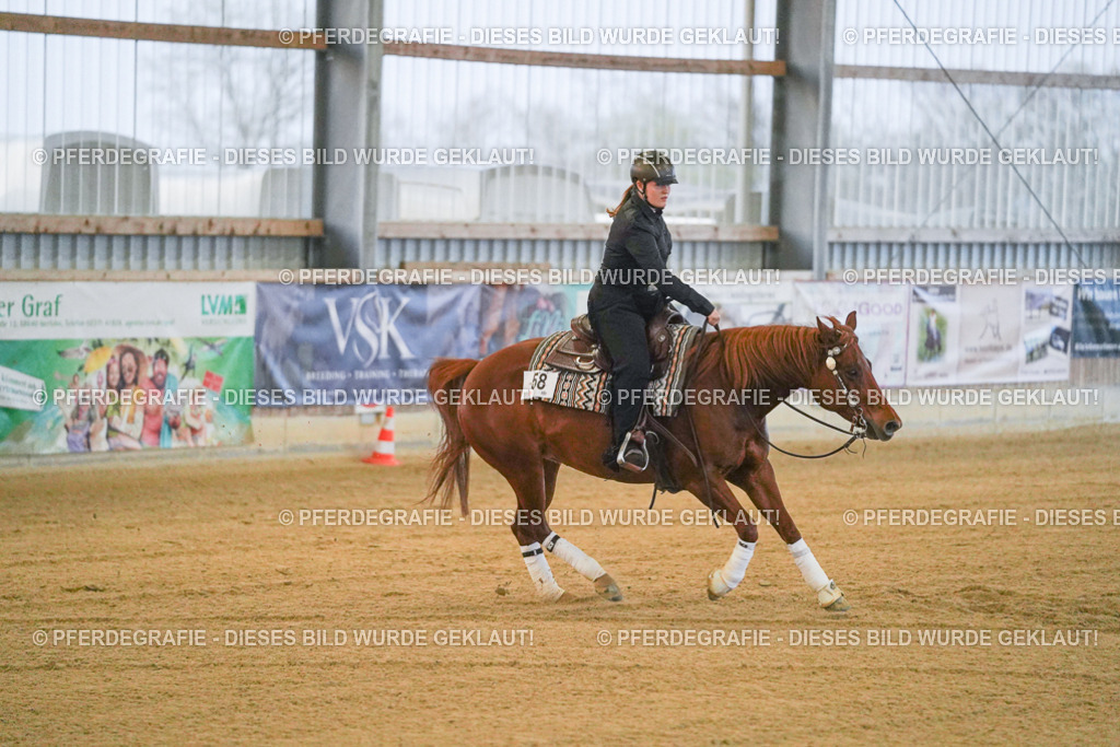 DSC09276 | Pferdegrafie