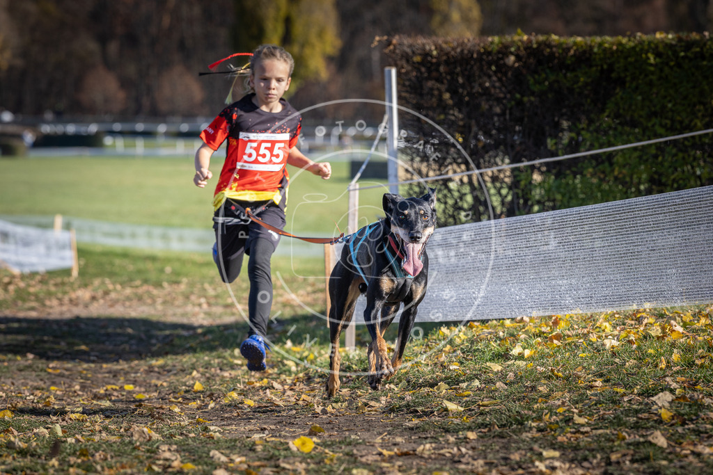 CaniXpix_DV3A8541 | Hundefotografie, Tierfotograf, Pfotenfotografie, Fotoshooting Hund, Hunde Portrait, Hundesport, Hundeportraits, Heideshooting, Hunde, Sportfotograf, Hundefotograf, Turnierhundsport, THS,  - Realisiert mit Pictrs.com