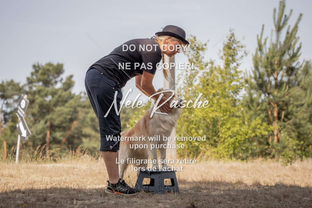 nelerasche_soDD2_124 | nelerasche