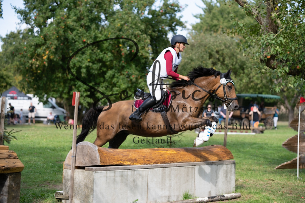 A7V03796 | Pferdefotograf