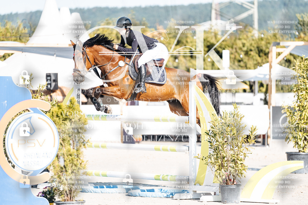 CK904299 | Turnierfotografie Pferdefotografie Trier Rheinland-Pfalz Pferdesport Reitsport Tierfotografie Sportfotografie Pferdevideo Pferdevideografie Equestrianvideography equestrianphotography  - Realisiert mit Pictrs.com