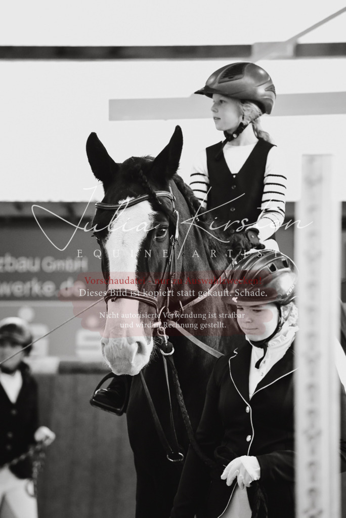 DSC_6847 | Pferde- und Turnierfotografie in Westsachsen. Pferdeportraits, Auftragszeichnungen und intuitive Kunst.