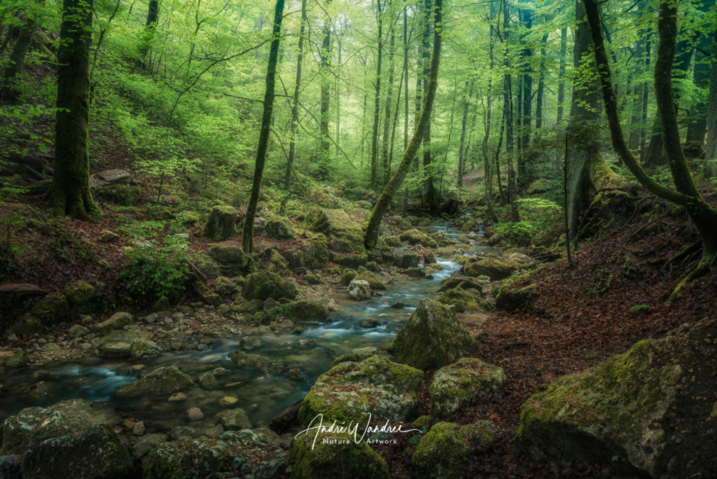 Ein Bächlein im Grünen | Andre Wandrei - Nature Artworx - Realisiert mit Pictrs.com