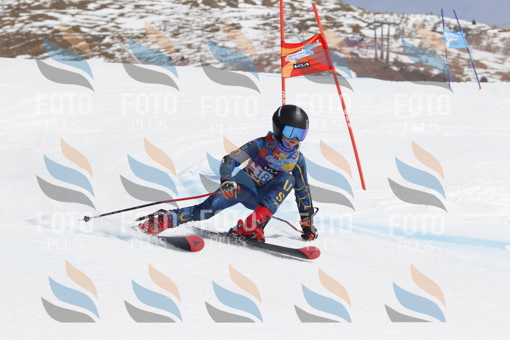 _U3G1817 | holidayphoto