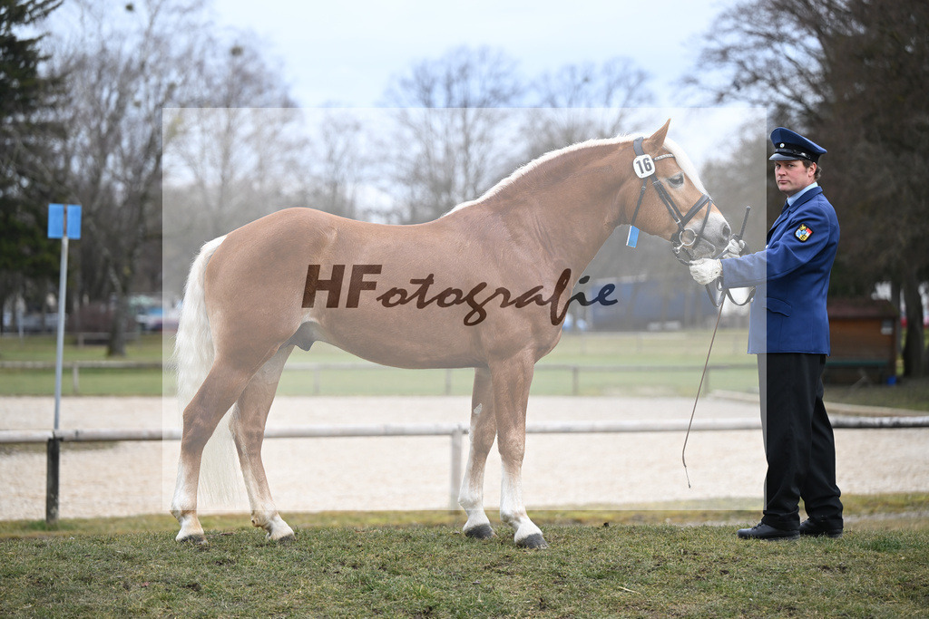 Kat-Nr. 16 v. Sturmdrang_HLG Schwaiganger_2230387 | hf-fotografie - Realisiert mit Pictrs.com