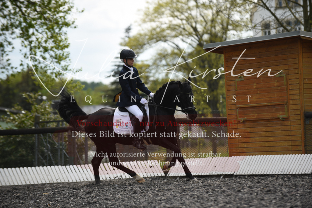 20230513_JK-Röhrsdorf-16-314 | Pferde- und Turnierfotografie in Westsachsen. Pferdeportraits, Auftragszeichnungen und intuitive Kunst.