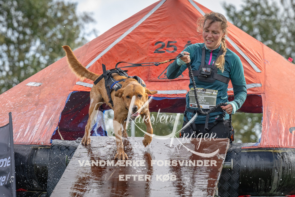 1216-93052 | kk-dogfotos