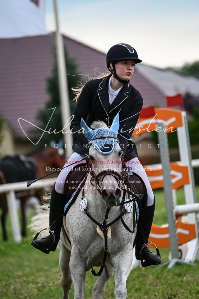 DSC_8514 | Pferde- und Turnierfotografie in Westsachsen. Pferdeportraits, Auftragszeichnungen und intuitive Kunst.
