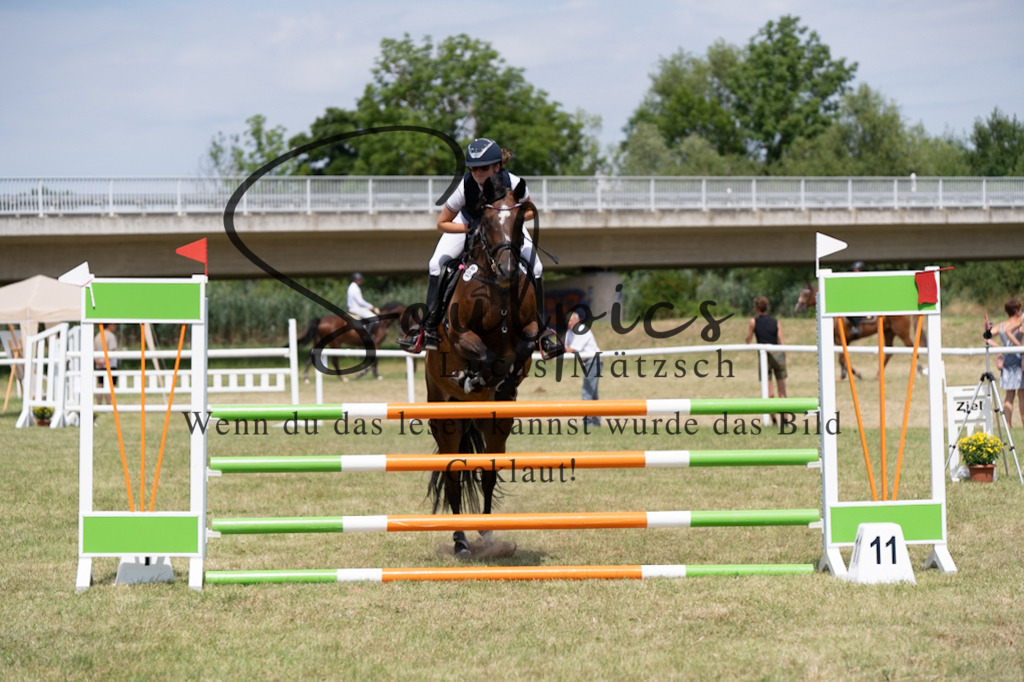 A7V01966 | Pferdefotograf