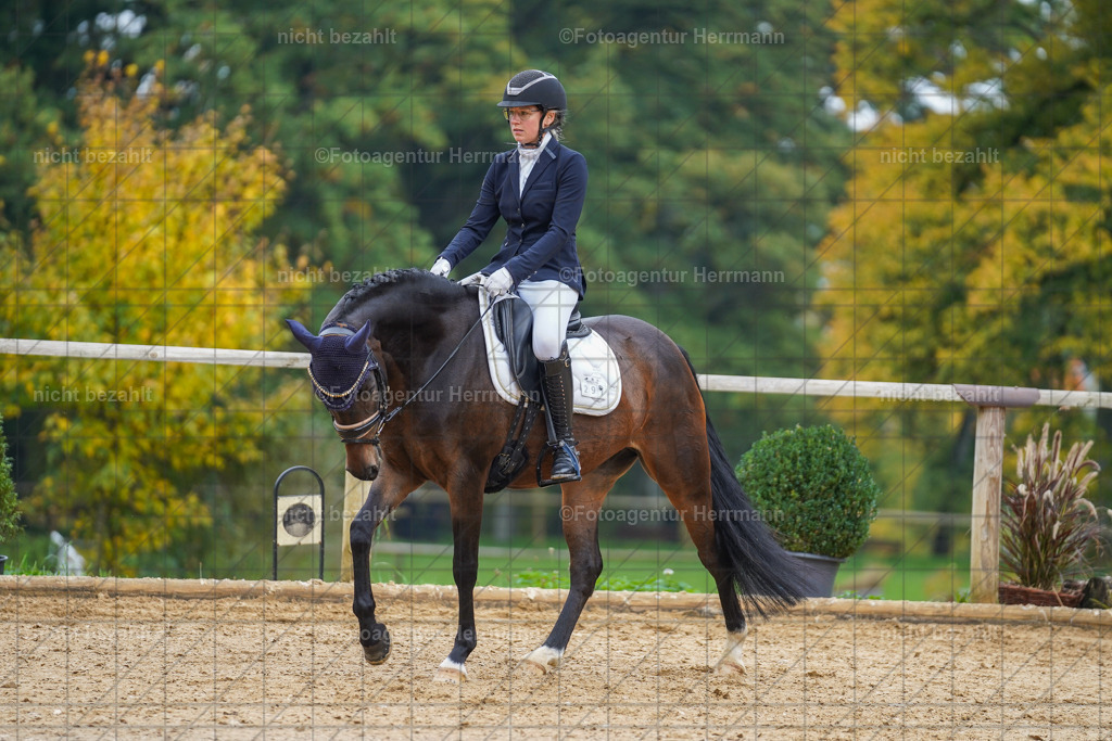 20221007-FAH09792 | Diessen am Ammersee, 2022, Dressur- und Springturnier, Reitsportbilder, Turnierfotografen Bayern, Pferdefotografen, Fotoagentur Herrmann, Turnierbilder