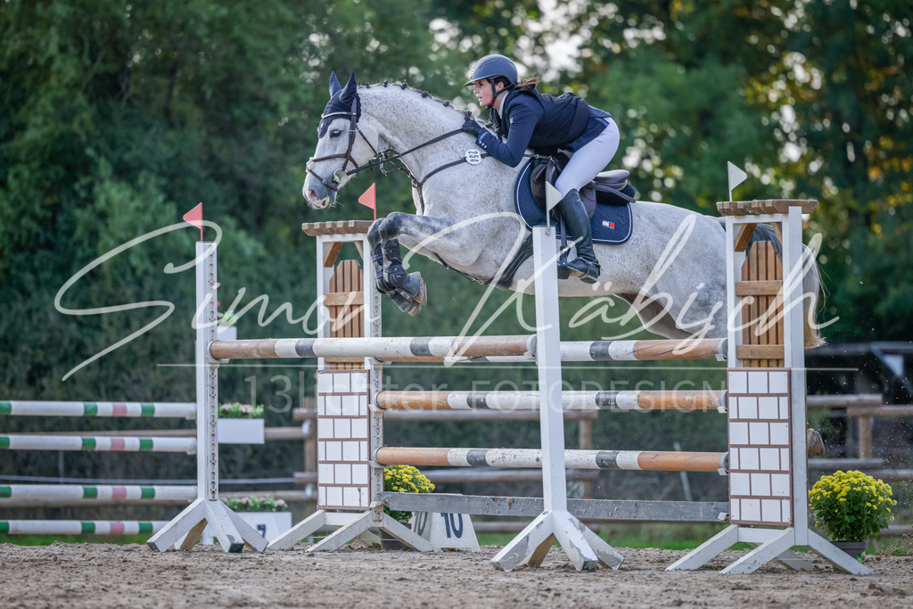 20251012-_3LI5738 | Tierfotografie Pferde, Hunde, Katzen, Haustiere.
Turnierfotografie Reitturniere, Reiten, Springreiten, Dressur in Hanau, dem Main-Kinzig-Kreis und dem Rhein-Main- Gebiet um Frankfurt