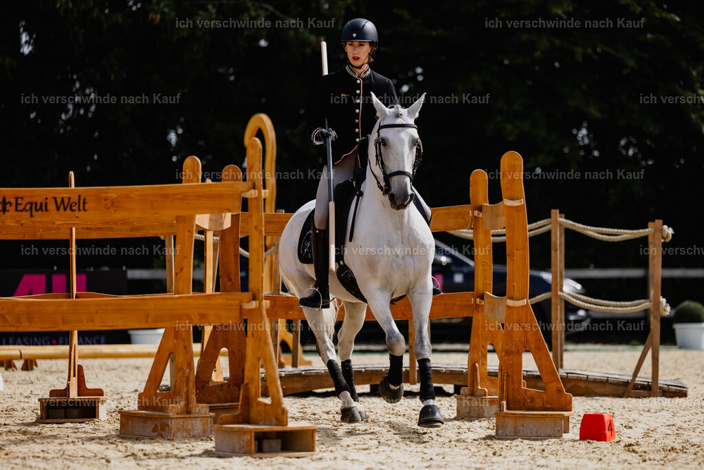 Virginie12FHC2025-20051 | working equitationturnier fotograf videograf stoibphotography marixx film working equitation deutschland reitsport turnierfotografie eventfotografie equestrian events