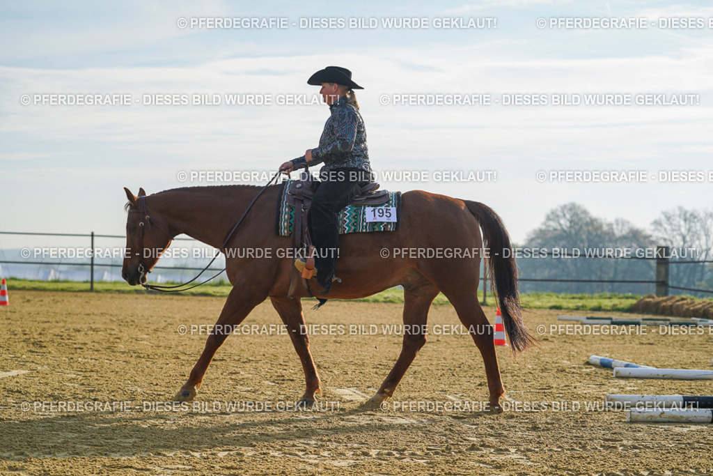 DSC00567 | Pferdegrafie