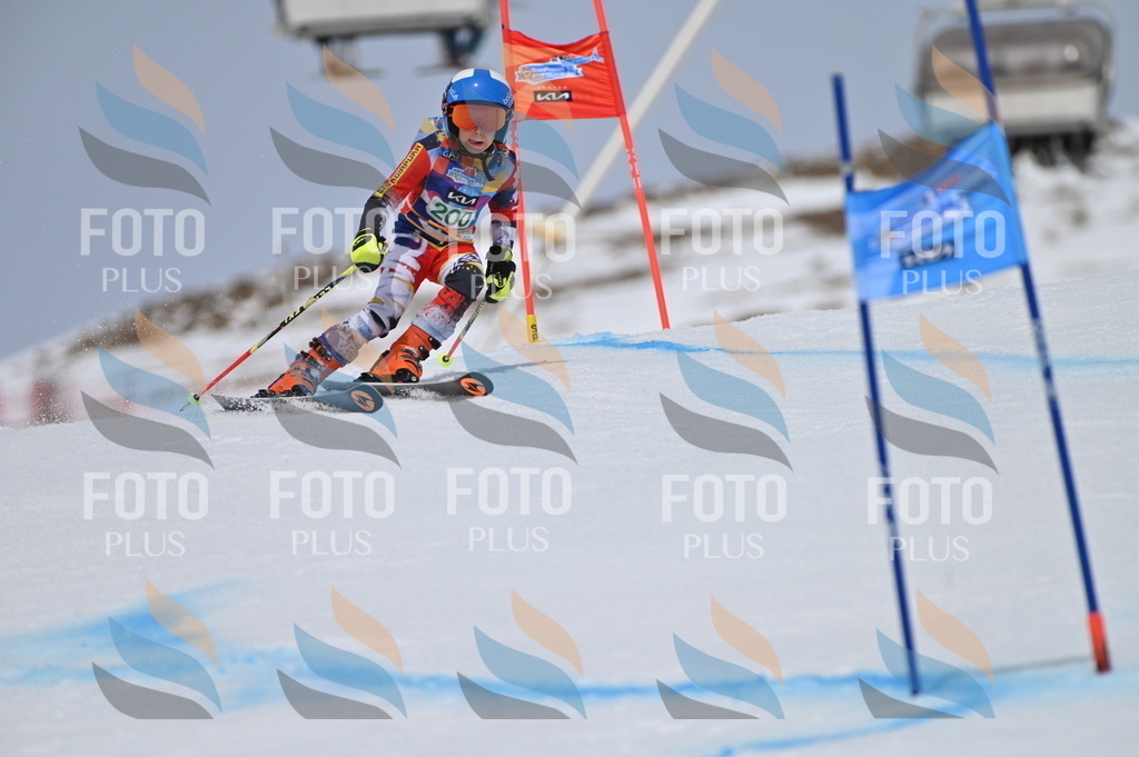 BGV_3848 | holidayphoto