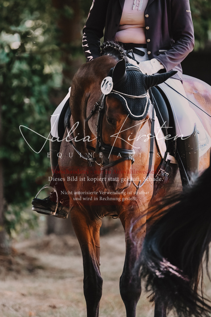 DSC_2755 | Pferde- und Turnierfotografie in Westsachsen. Pferdeportraits, Auftragszeichnungen und intuitive Kunst.