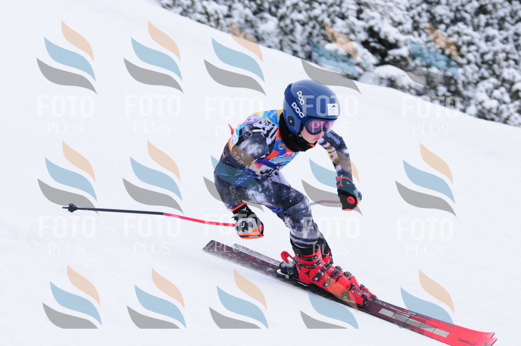 C3204 | holidayphoto