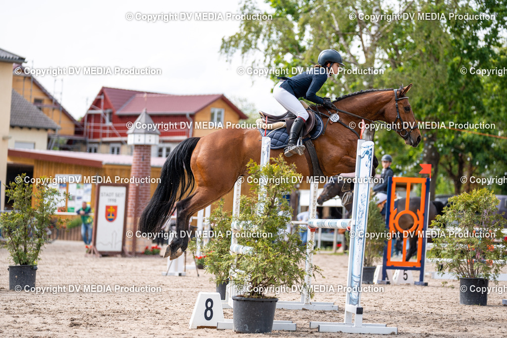 Eppelheim Tag 2-660 | dv-media-shop - Realisiert mit Pictrs.com