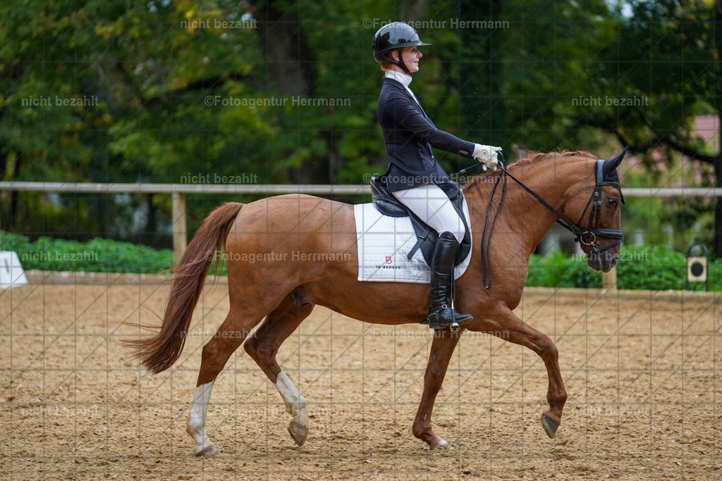 20221008-FAH01860 | Diessen am Ammersee, 2022, Dressur- und Springturnier, Reitsportbilder, Turnierfotografen Bayern, Pferdefotografen, Fotoagentur Herrmann, Turnierbilder