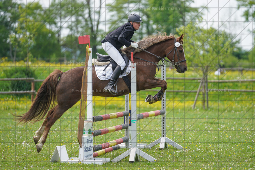 20240509-FAH02790 | Turnierbilder der Turnierfotografen Bayern, Pferdesport Fotografie, Reitsportbilder, Turnier Landberg am Lech, Turnierbilder bayern, Fotoagentur Herrmann