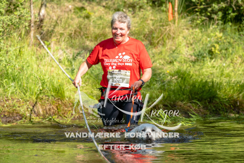 0917DKK9_ZZ90819 | kk-dogfotos