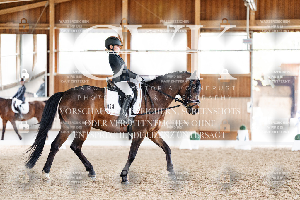 CK901634 | Turnierfotografie Pferdefotografie Trier Rheinland-Pfalz Pferdesport Reitsport Tierfotografie Sportfotografie Pferdevideo Pferdevideografie Equestrianvideography equestrianphotography  - Realisiert mit Pictrs.com