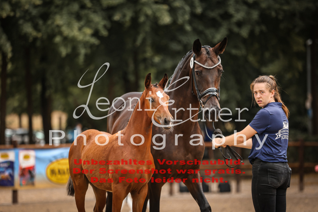 SaFohlen00005 | Leoni Ertmer Photography - Realisiert mit Pictrs.com