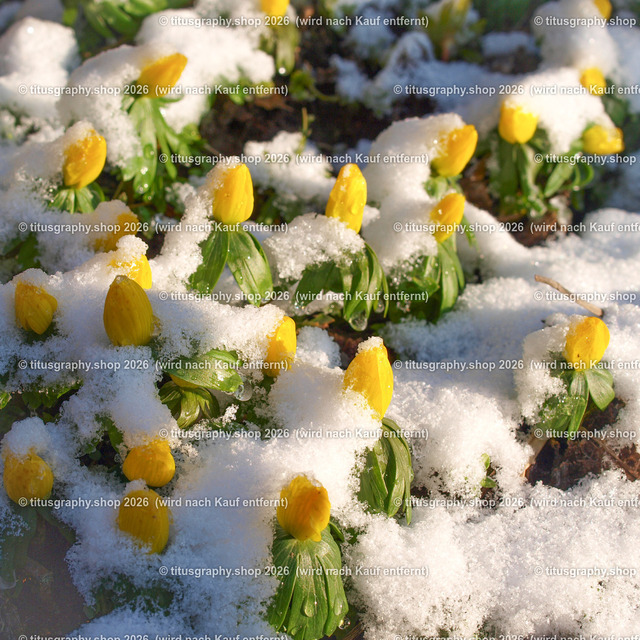 P1010574_edited | Fotokunstarbeit aus der INSTAGRAM-Gallerie auf titusgraphy.eu - Realisiert mit Pictrs.com