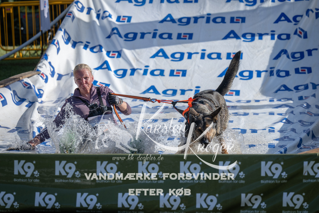 0941_ZZ96749 | kk-dogfotos