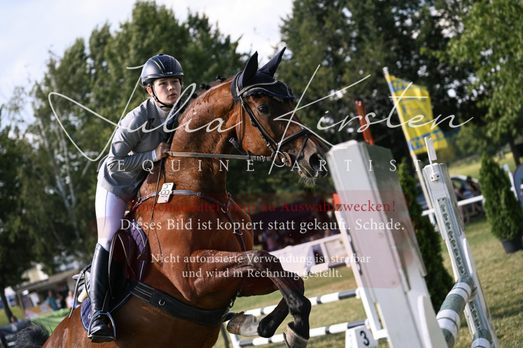 DSC_1358 | Pferde- und Turnierfotografie in Westsachsen. Pferdeportraits, Auftragszeichnungen und intuitive Kunst.