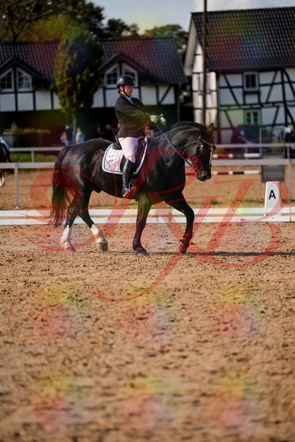 2026_10_03_Siefer-Hof_131747_Z63_80050261 | Professionelle Reitsport-, Turnier- und Eventfotografie von Robert Broda. Galerien mit ausgewählten und bearbeiteten Bildern direkt online ansehen und bestellen.