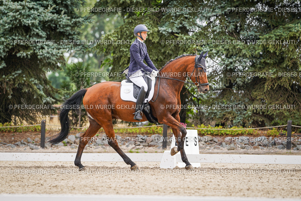 DSC01944 | Pferdegrafie