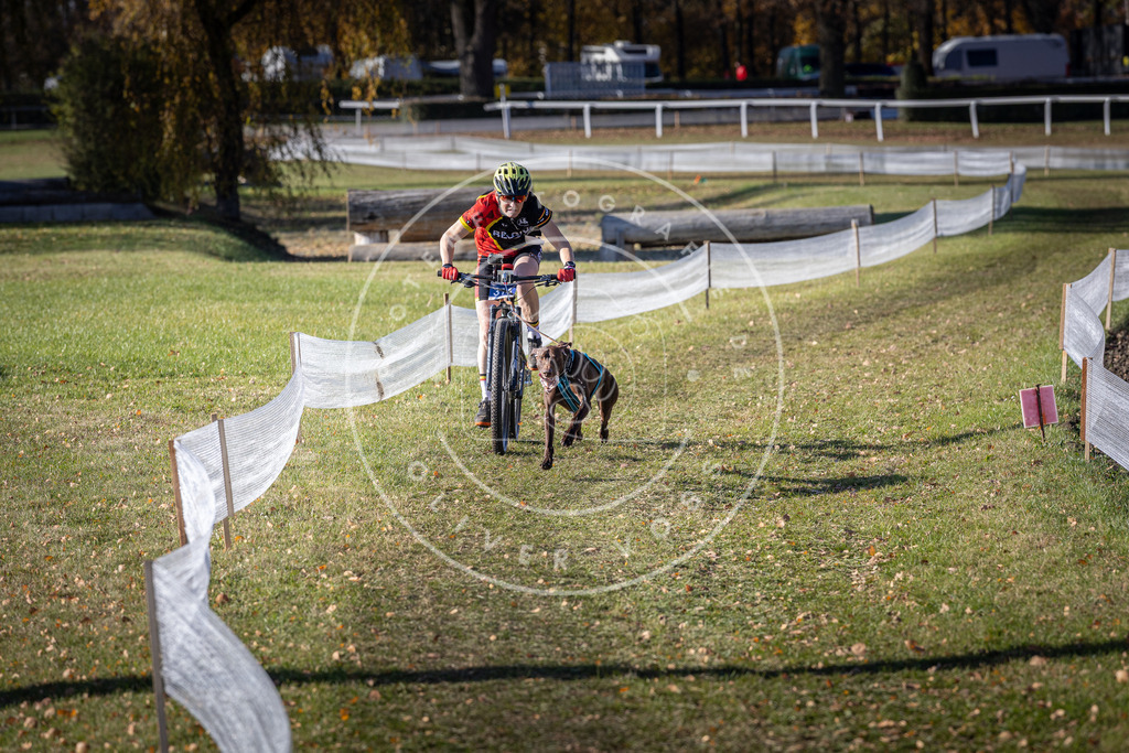 CaniXpix_DV3A6380 | Hundefotografie, Tierfotograf, Pfotenfotografie, Fotoshooting Hund, Hunde Portrait, Hundesport, Hundeportraits, Heideshooting, Hunde, Sportfotograf, Hundefotograf, Turnierhundsport, THS,  - Realisiert mit Pictrs.com