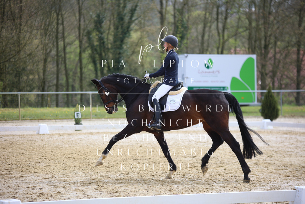 IMGT4921 | pl-fotografie