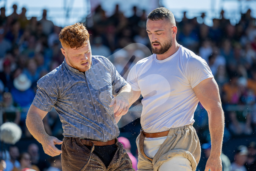 TESSINER2025_04_Gang_0977 | Die Schwinger des Schwyzer Kantonalen Schwingerverbandes: Fotos, die Dynamik und Leidenschaft festhalten, sowie emotionale Momente aus dem traditionellen Schwingsport zeigen. - Realisiert mit Pictrs.com