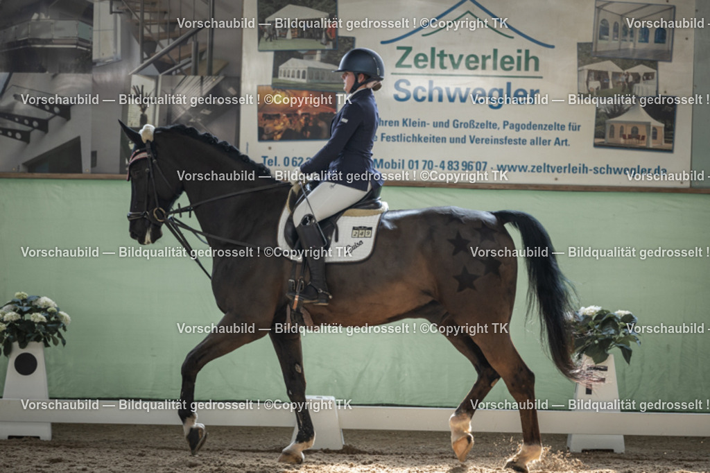 _D5A5820 | Emotionale Pferde- & People-Fotografie rund um Heidelberg, Leimen & Umgebung. Natürliche Fotos von Pferd, Mensch & Familie. Jetzt Termin sichern!