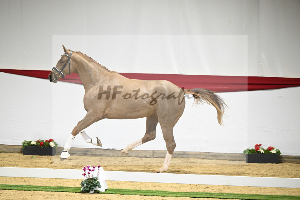 Kat-Nr. 48 v. Danone I_Mueller_63221254 | hf-fotografie - Realizzato con Pictrs.com