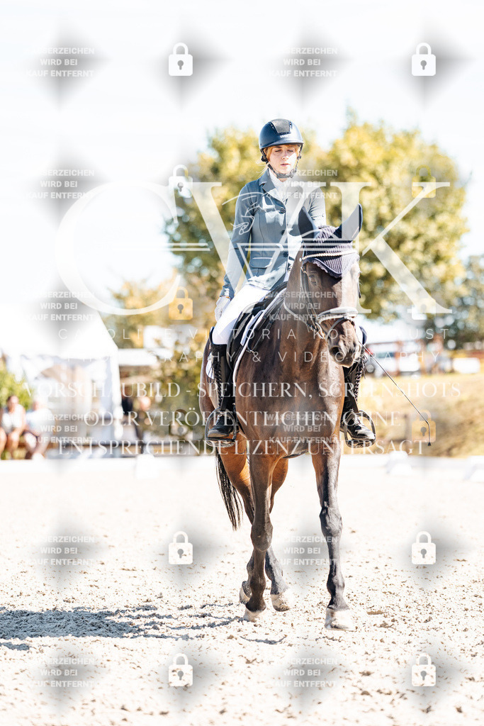 CK909840 | Turnierfotografie Pferdefotografie Trier Rheinland-Pfalz Pferdesport Reitsport Tierfotografie Sportfotografie Pferdevideo Pferdevideografie Equestrianvideography equestrianphotography  - Realisiert mit Pictrs.com