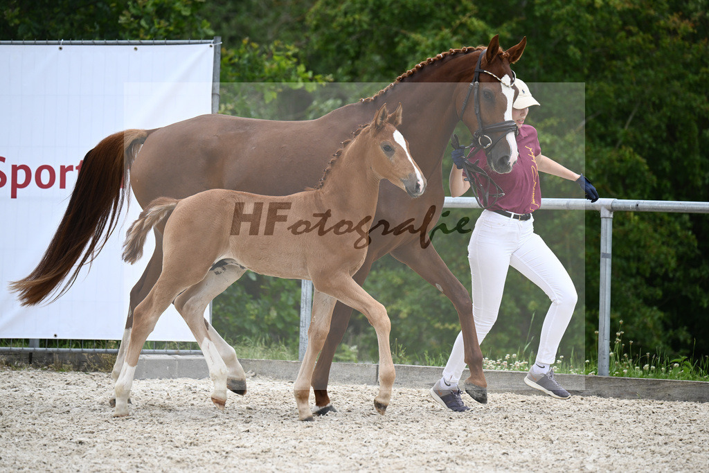 Vivaldos x Belissimo M_HF_Baier_20240236 | hf-fotografie - Realisiert mit Pictrs.com