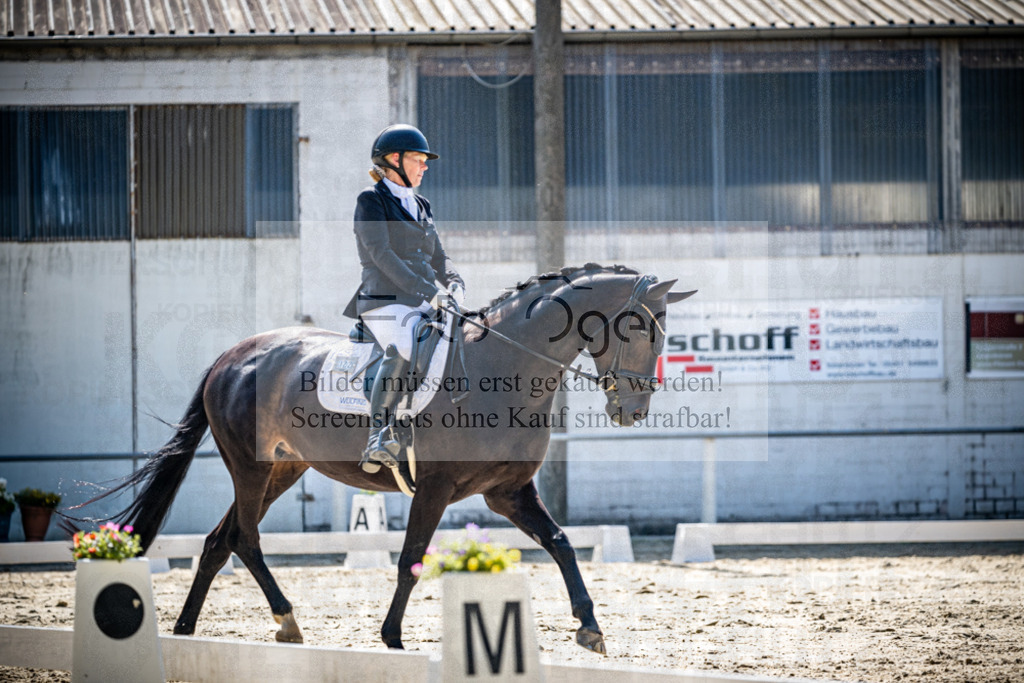 Turnier Laggenbeck 2026-10-0157 | Entdecke hochwertige Reitturnierfotos von Foto Oger. Professionell, emotional und authentisch – jetzt Lieblingsmomente im Shop bestellen.Deutschlandweite Turnierfotografie. - Realisiert mit Pictrs.com