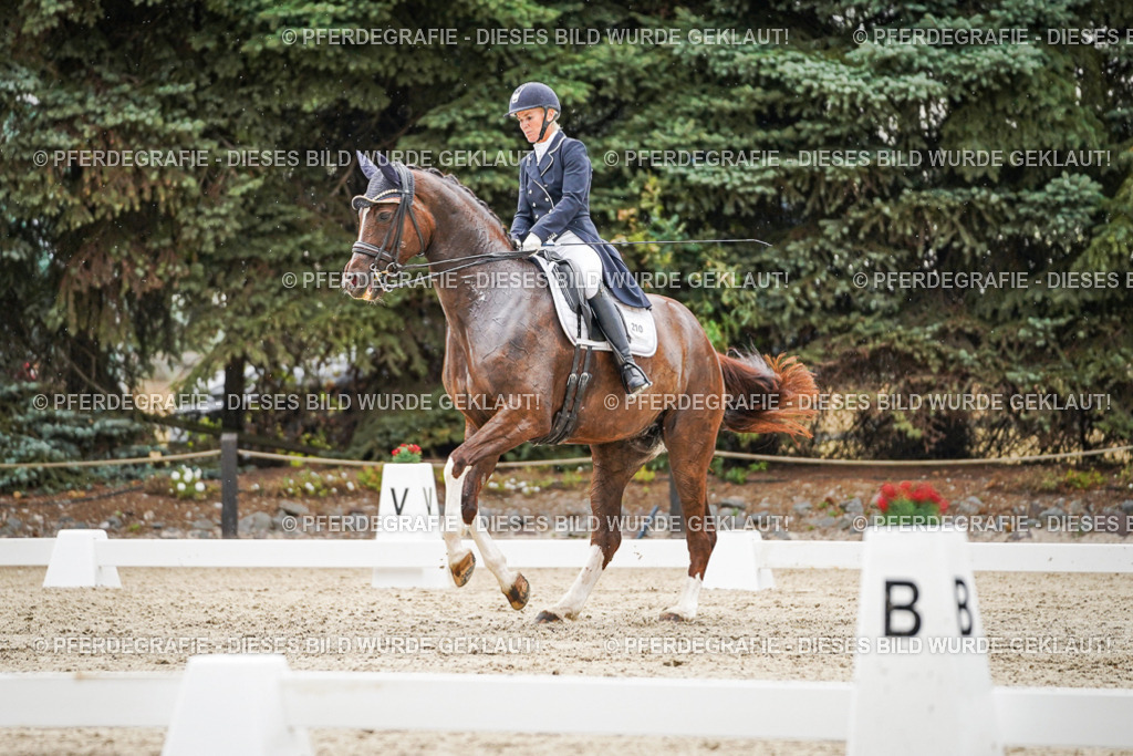 DSC07864 | Pferdegrafie