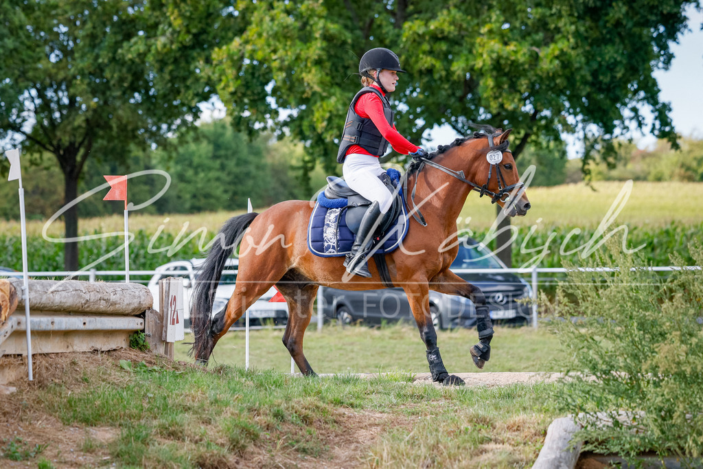 20250905-_3LI1838 | Tierfotografie Pferde, Hunde, Katzen, Haustiere.
Turnierfotografie Reitturniere, Reiten, Springreiten, Dressur in Hanau, dem Main-Kinzig-Kreis und dem Rhein-Main- Gebiet um Frankfurt