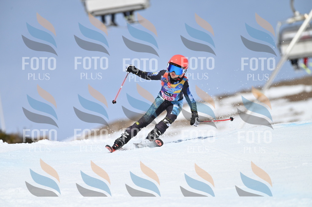 BGV_3330 | holidayphoto