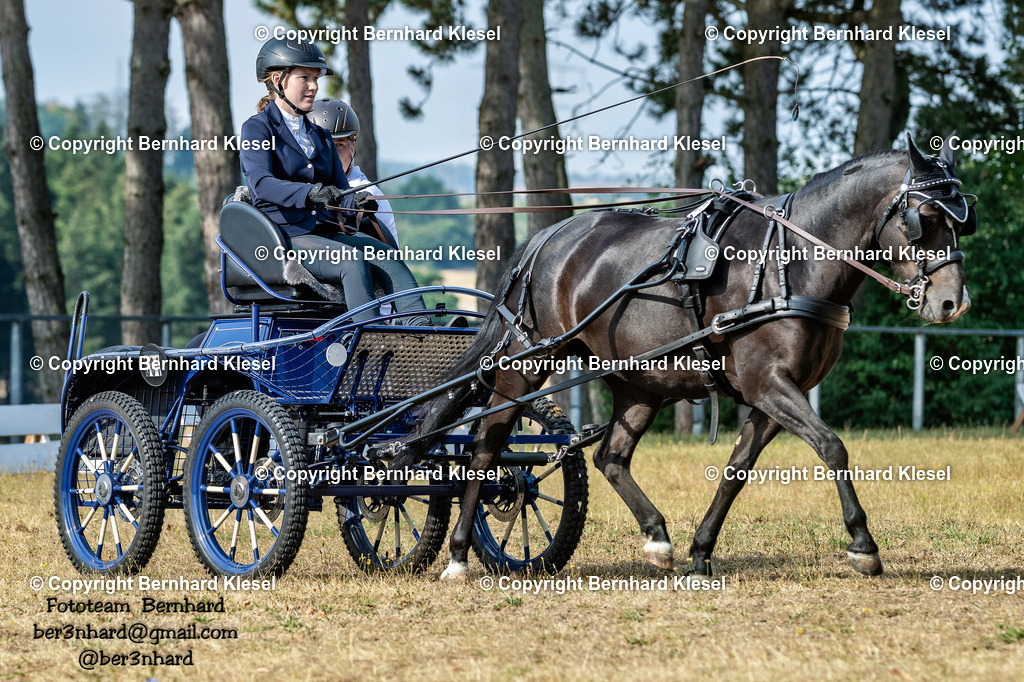 A1B06894 | foto-team-bernhard - Realisiert mit Pictrs.com