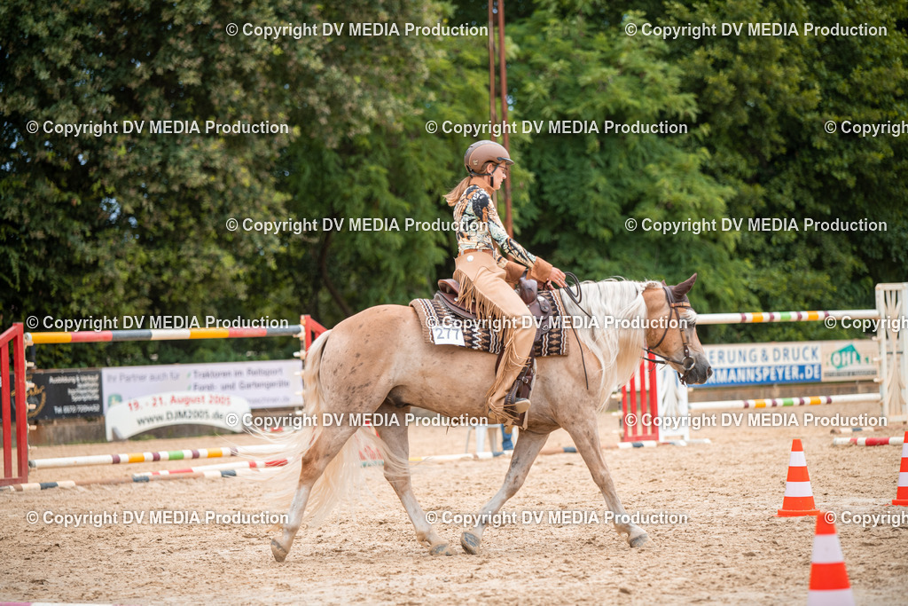 ZS2_8006 | dv-media-shop - Realisiert mit Pictrs.com