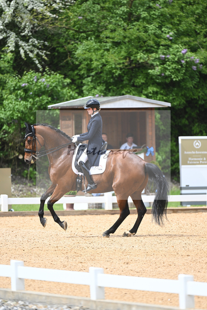 Fisch_Apanage_11233404 | hf-fotografie - Realisiert mit Pictrs.com