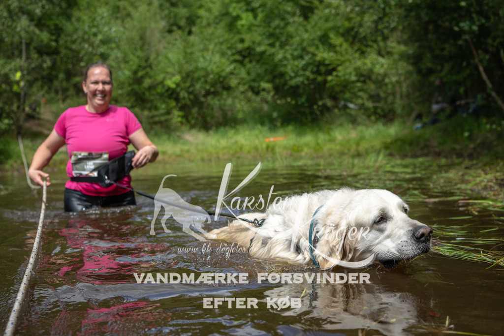 1223DKK992723 | kk-dogfotos